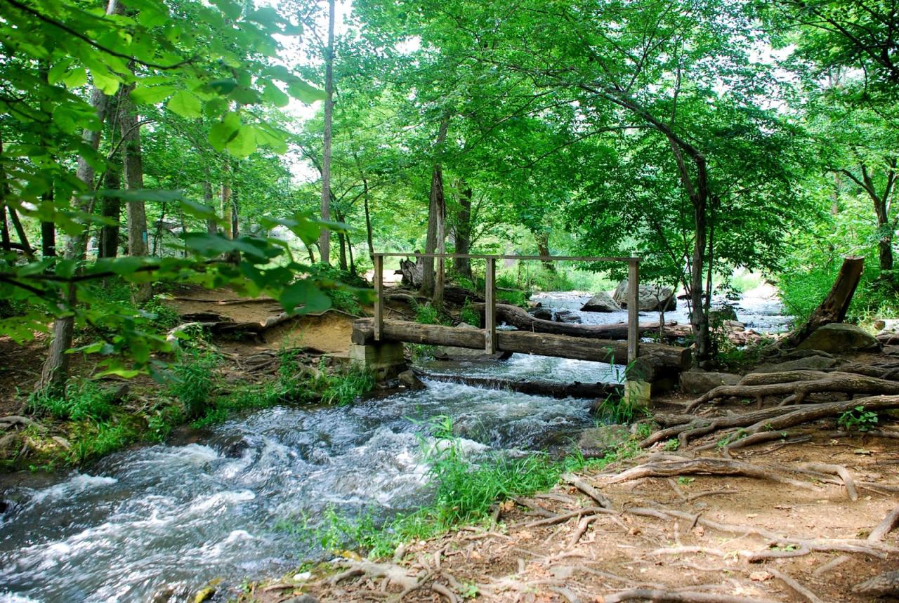 Hidden gem nature walks near my area with less crowded trails