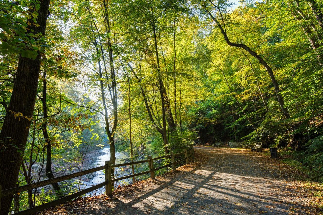 Hidden gem nature walks near my area with less crowded trails