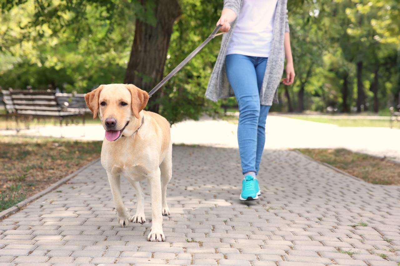 Off-leash dog parks with walking trails near my current address