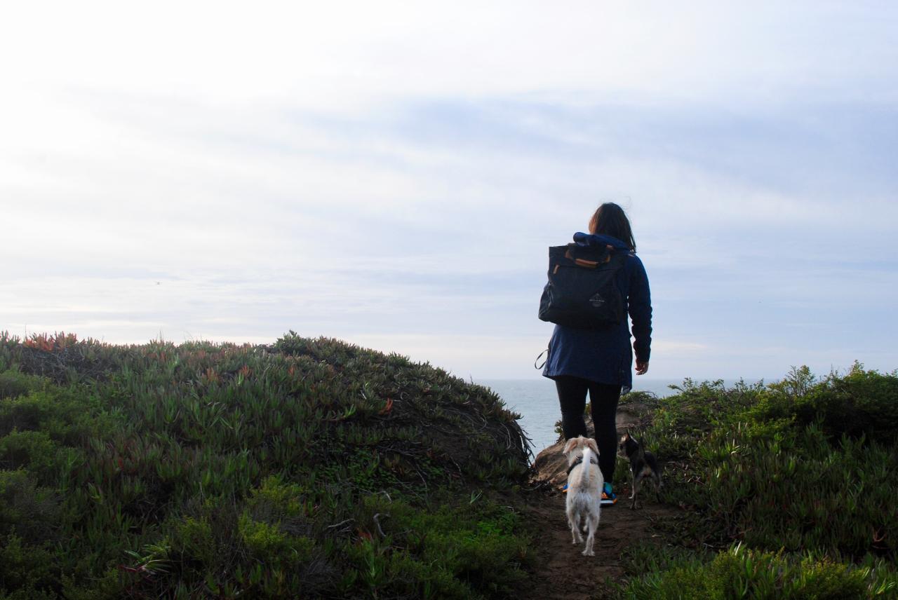 Dog-friendly hiking trails near me with shaded areas and water sources