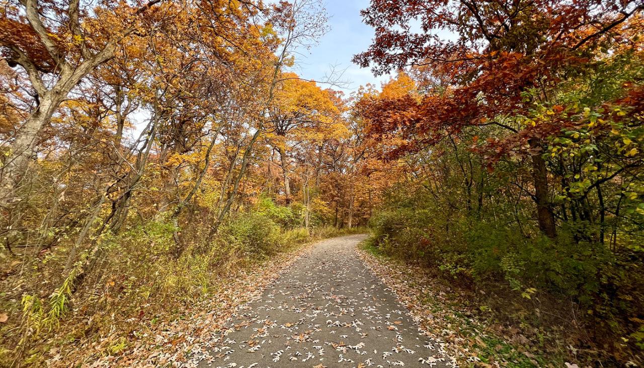 Hidden gem nature walks near my area with less crowded trails