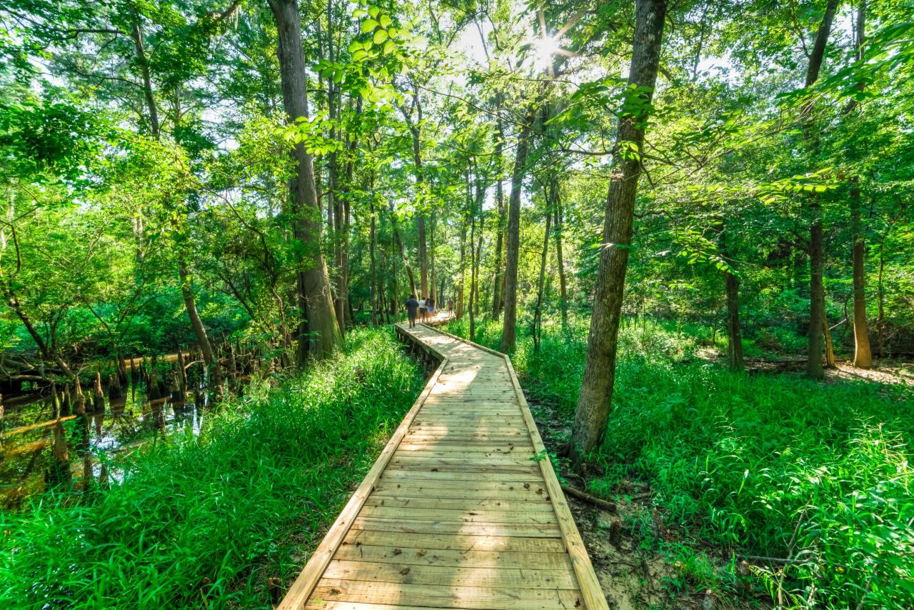 Accessible walking trails near me suitable for wheelchairs or strollers