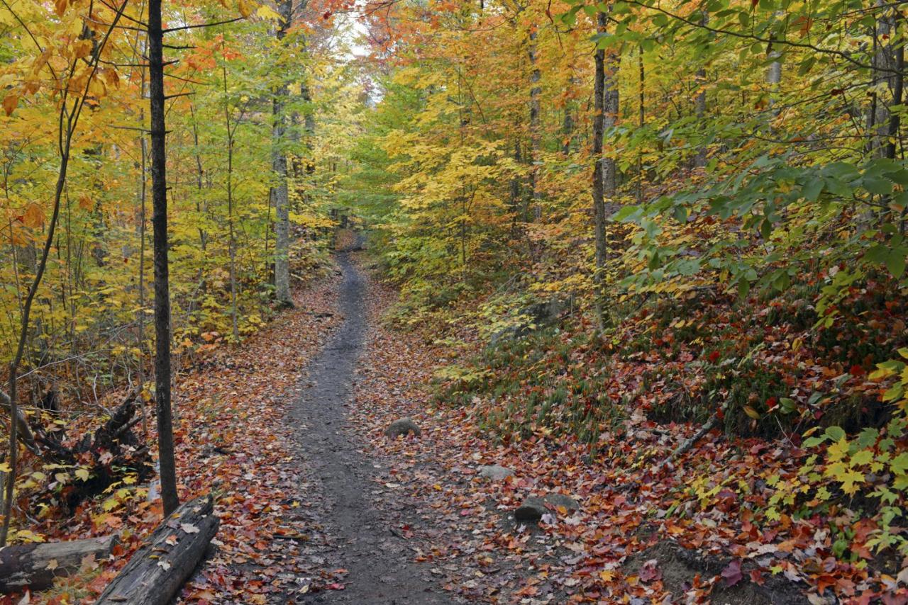 Scenic walking trails near me with historical landmarks or points of interest