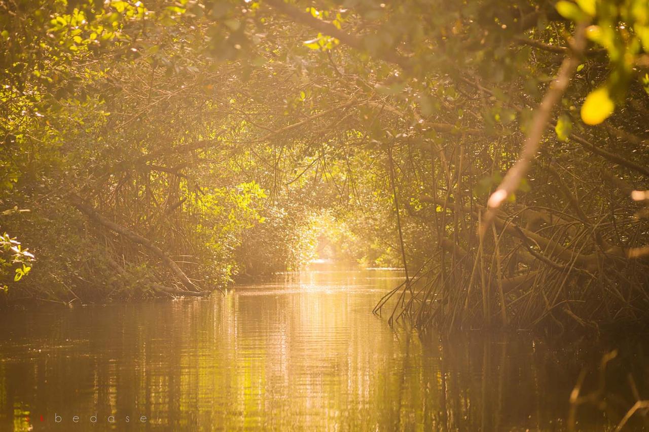 Quiet and secluded nature trails for bird watching near me